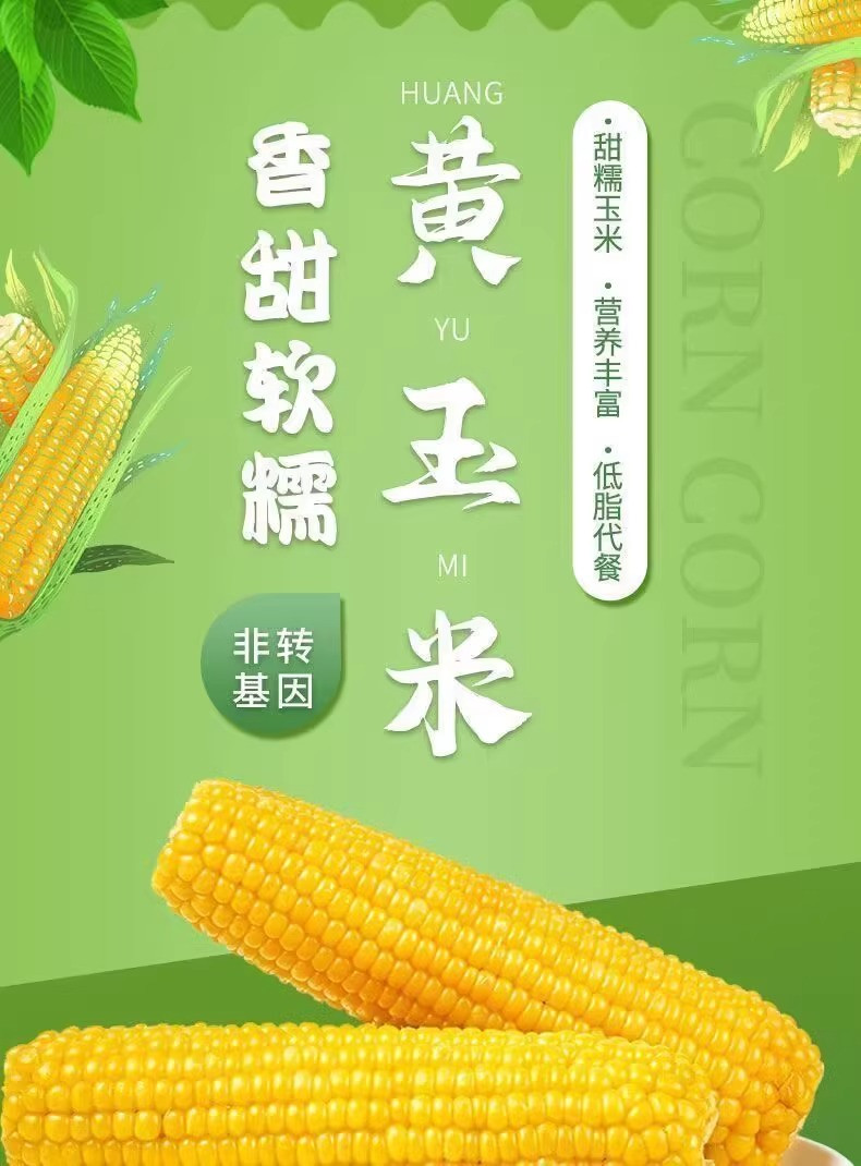 鲜小盼 东北黄糯玉米【2棒】200g+非转基因真空独立包装鲜食软糯