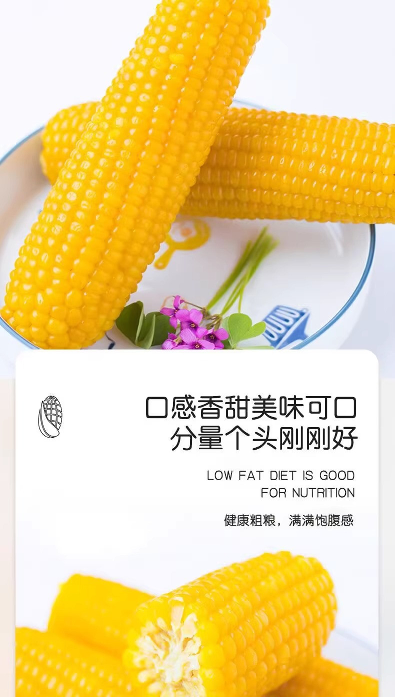 鲜小盼 黄糯玉米粘糯玉米【10棒】甜糯玉米代餐非转基因200g+大棒