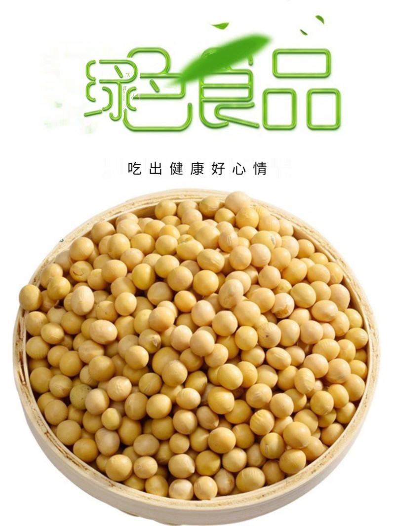鲜小盼 【助农】东北黄豆 400g 非转基因豆浆豆花高蛋白新黄豆