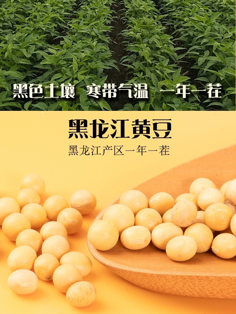 鲜小盼 【助农】东北黄豆 400g 非转基因豆浆豆花高蛋白新黄豆