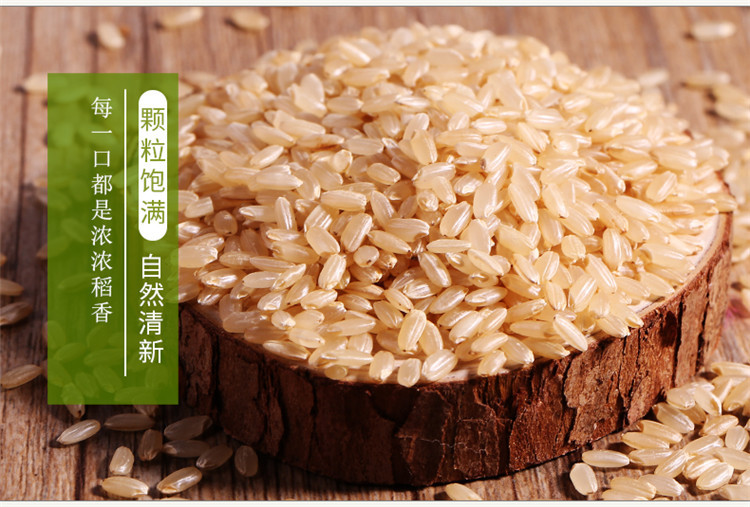 鲜小盼 【助农】东北糙米 2斤 新米杂粮五谷饭五常粳米煮粥