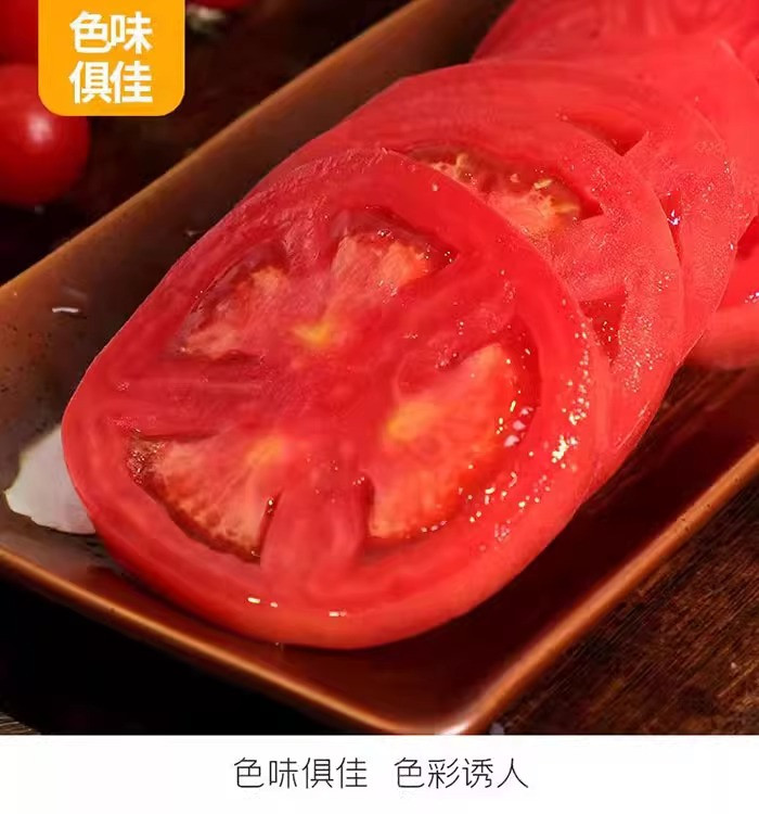 鲜小盼 【帮扶】普罗旺斯西红柿 5斤新鲜番茄 新鲜现摘生吃西红柿