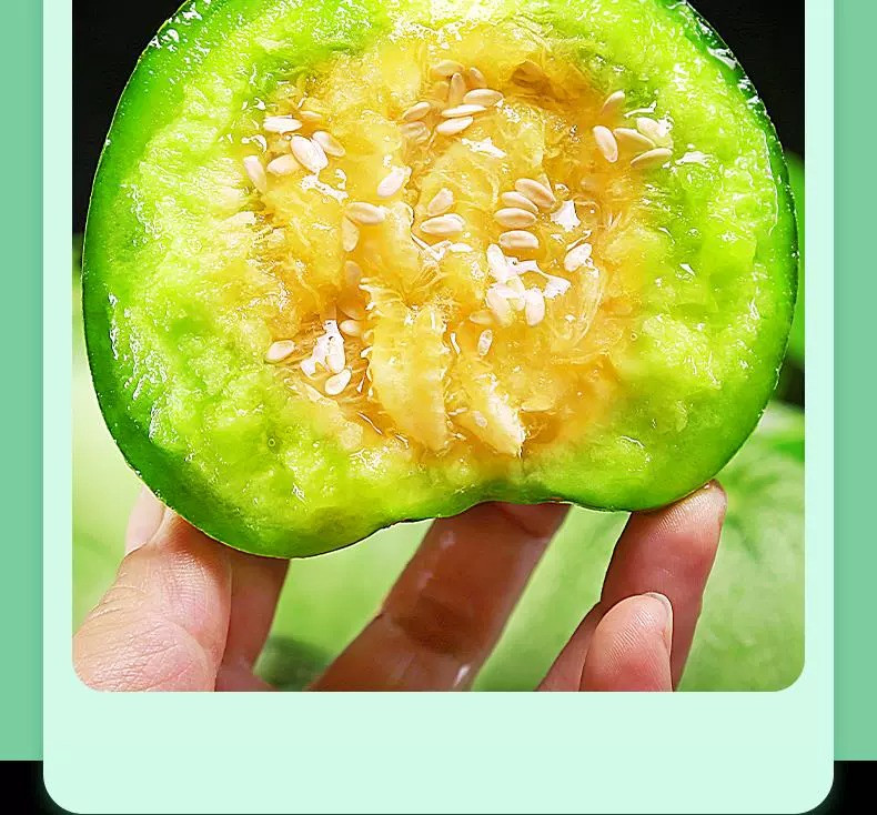 鲜小盼 【助农】绿宝石甜瓜 2斤 当季现摘时令小甜瓜脆瓜绿宝石