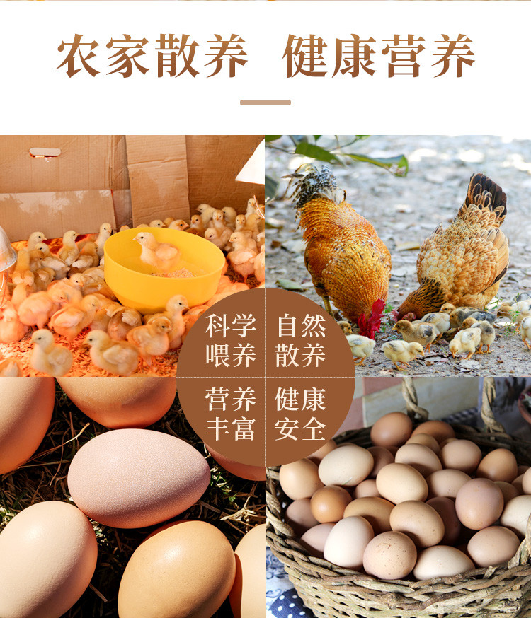 鲜小盼 【帮扶】农家土鸡蛋 40枚 农家散养谷物草鸡蛋45g+柴鸡蛋