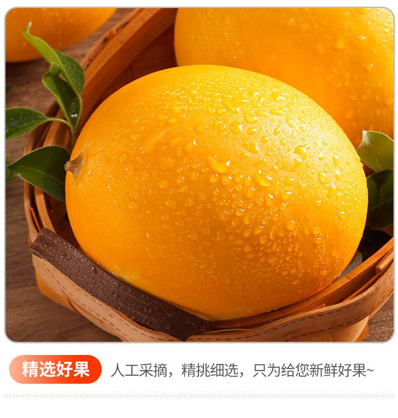 鲜小盼 助农 黄河蜜 2斤 甜瓜头茬黄金蜜瓜新鲜当季甜瓜