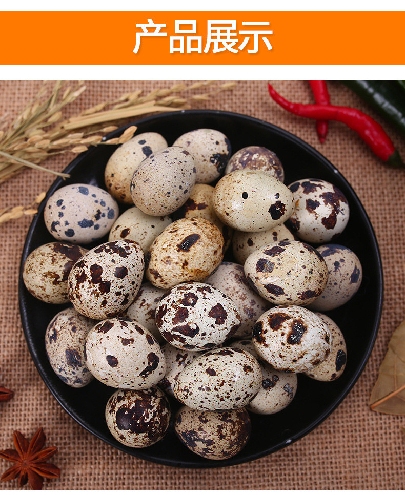 鲜小盼 【助农】鹌鹑蛋 25枚 新鲜生鲜农家杂粮喂养鹌鹑蛋宝宝辅食