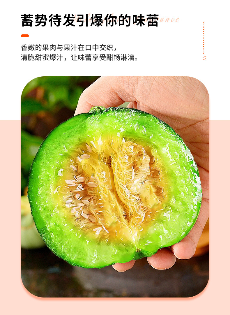 鲜小盼 【帮扶】现摘绿宝石甜瓜 5斤 绿皮超甜薄皮新鲜应季水果