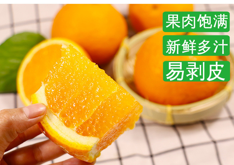 鲜小盼 正宗四川春见果冻橙4.5斤爆浆车子时令水果新鲜橘子当季