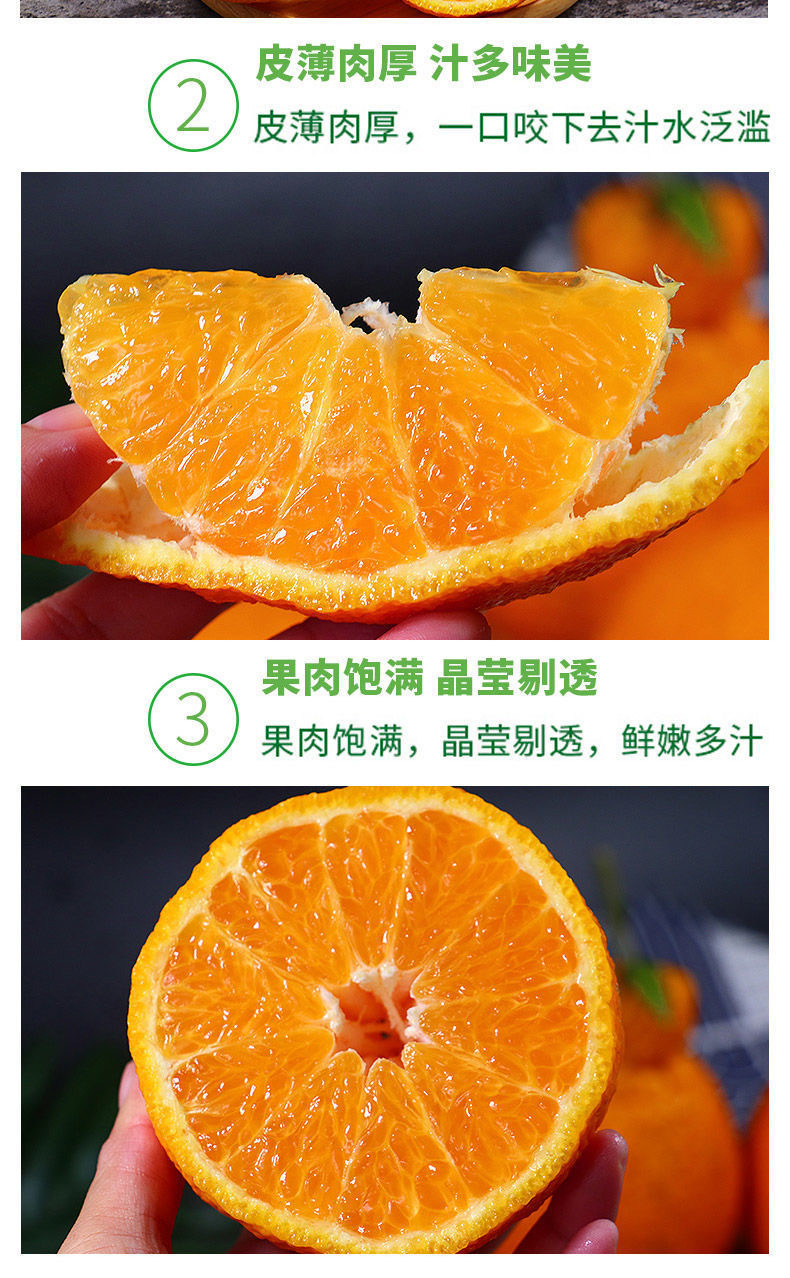 鲜小盼 不知火丑橘 9斤 四川丑八怪蜜橘桔子现摘新鲜水果丑桔