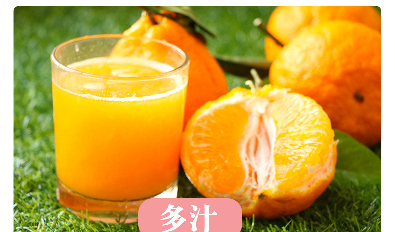 鲜小盼 不知火丑橘 5斤当季新鲜水果丑八怪橘子粑粑蜜桔子柑橘