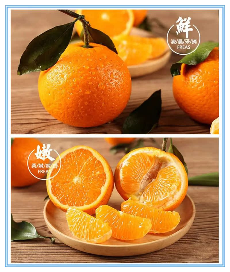 鲜小盼 四川春见果冻橙 2斤现摘新鲜橘子应季水果香甜爽口
