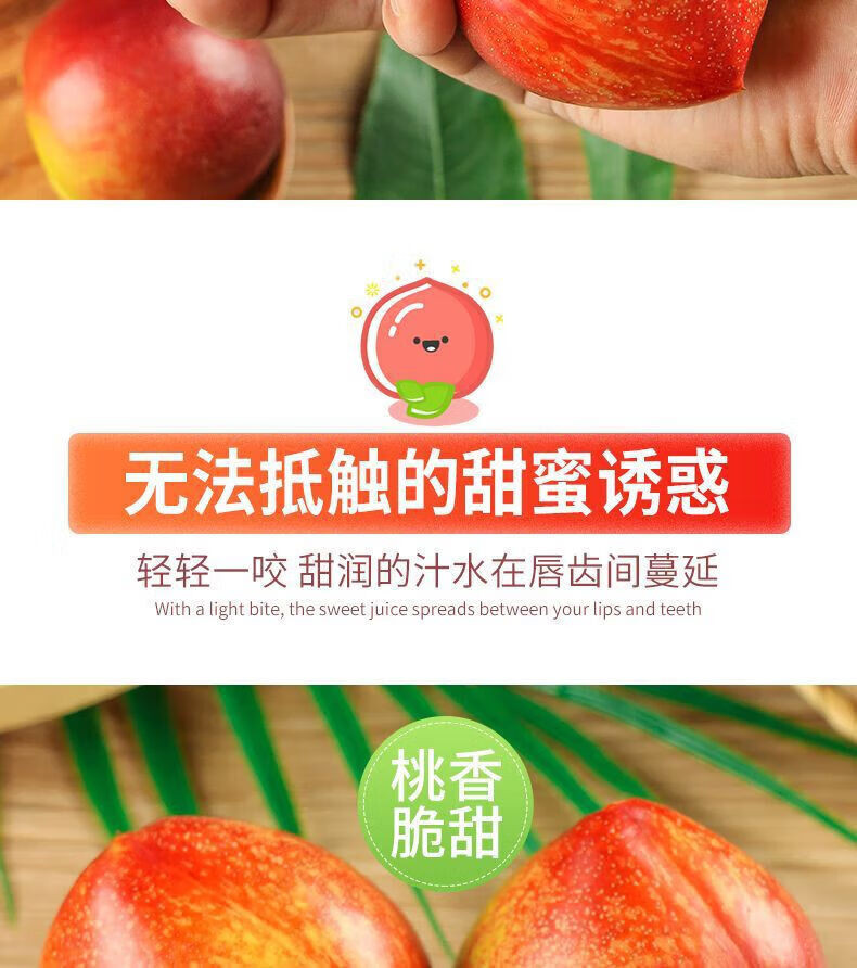 鲜小盼 【助农】黄心油桃5斤新鲜水果清香脆甜桃子当季黄肉果