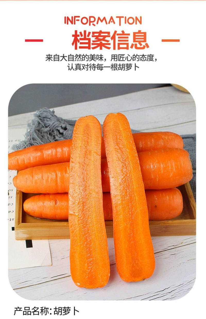 鲜小盼 【助农】胡萝卜9斤水果萝卜生吃脆甜当季蔬菜农家自种现挖