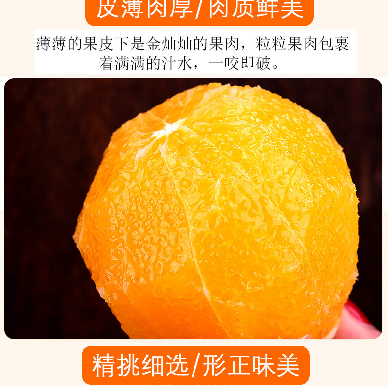 鲜小盼 【助农】夏橙9斤橙子榨汁新鲜薄皮多汁现摘现发季新鲜水果