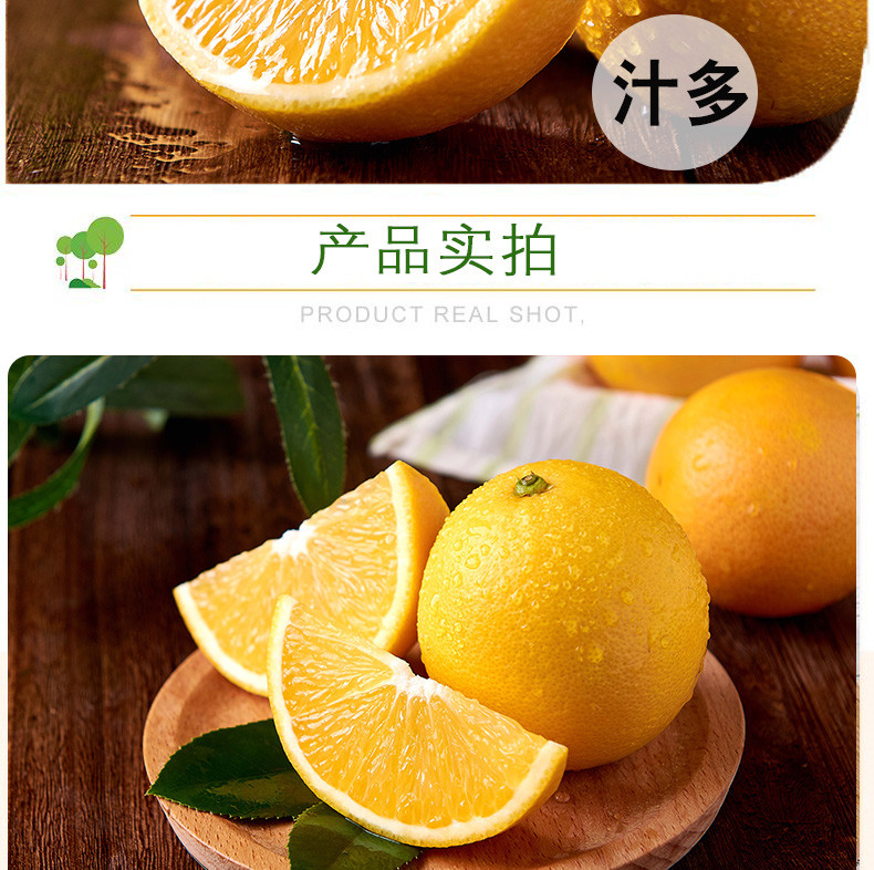 鲜小盼 【助农】夏橙9斤橙子榨汁新鲜薄皮多汁现摘现发季新鲜水果
