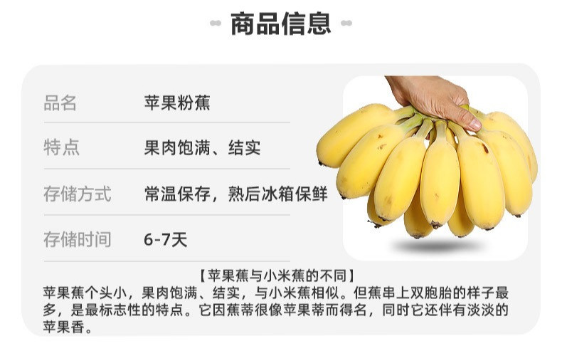 鲜小盼 【助农】禁止蕉绿带杆【3把蕉】香蕉办公室水培养