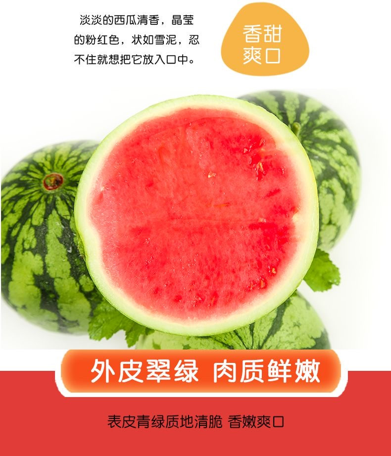 鲜小盼 新鲜麒麟西瓜【6-7斤】现摘现发新鲜水果西瓜当季脆甜薄皮多汁