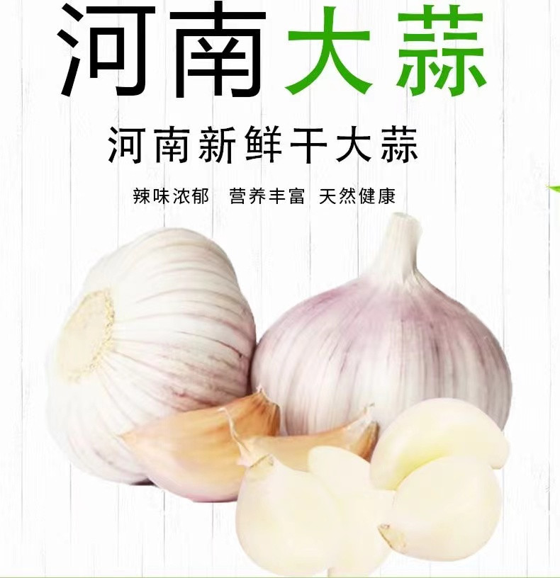 鲜小盼 紫皮干蒜【5斤】老品种本地蒜种生吃炒菜香辣浓