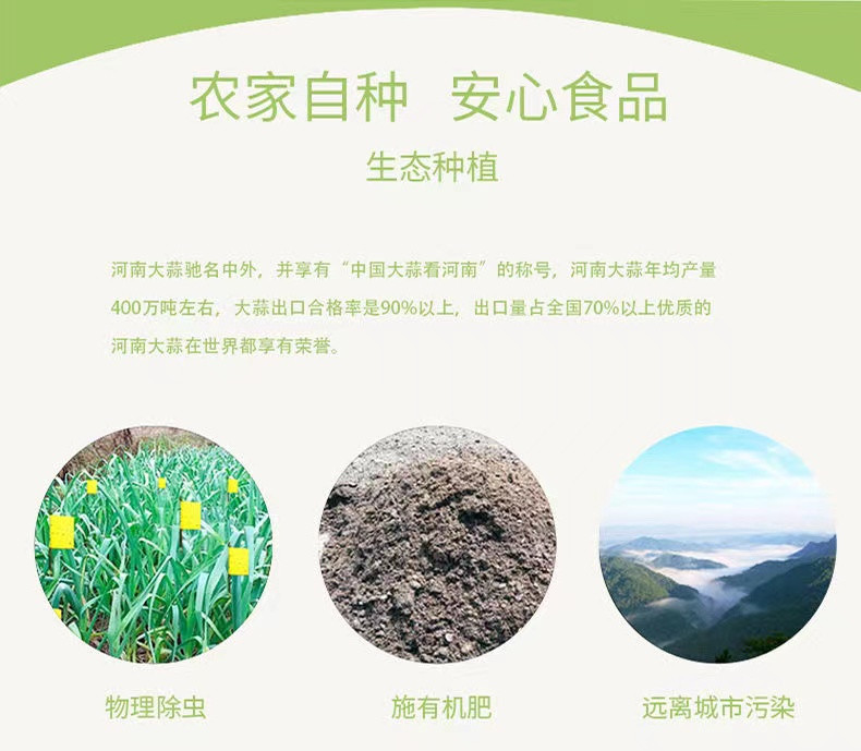 鲜小盼 紫皮干蒜【5斤】老品种本地蒜种生吃炒菜香辣浓