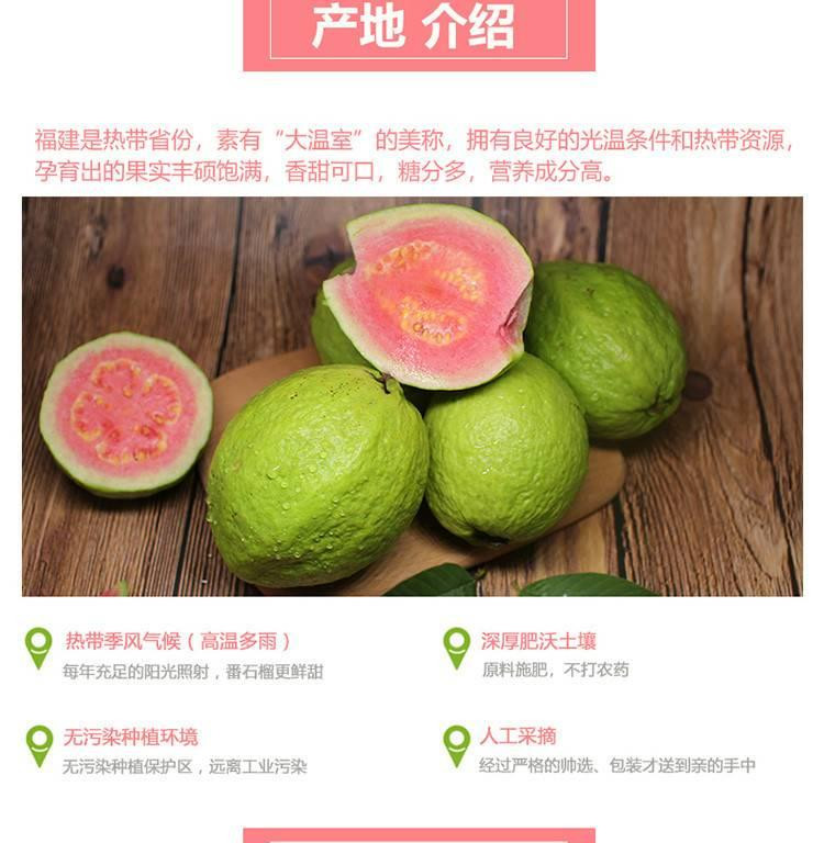 鲜小盼 红心芭乐现货【5斤】软糯水果番石榴当季新鲜超甜红心红肉巴乐果