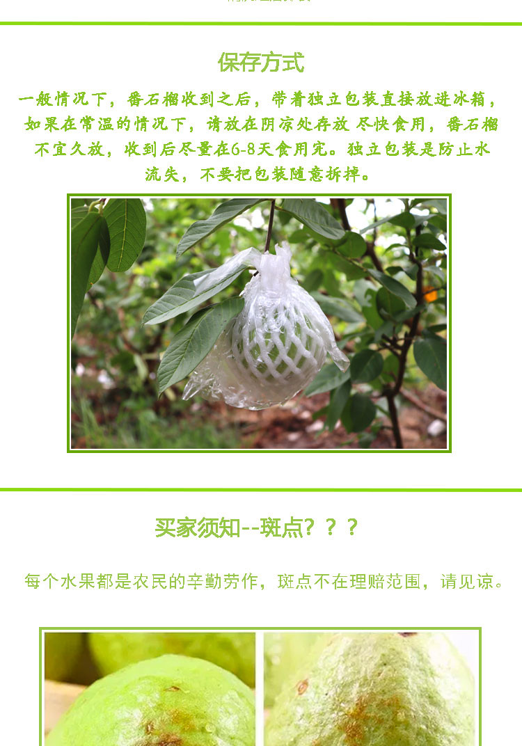 鲜小盼 番石榴白心芭乐【1斤】新鲜水果当季孕妇特价水果产地现摘现发