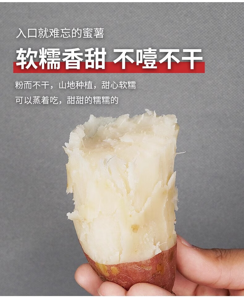 鲜小盼 哈密冰糖薯【5斤】新鲜白心蜜薯糖心红薯超甜沙地白薯粉糯白地瓜