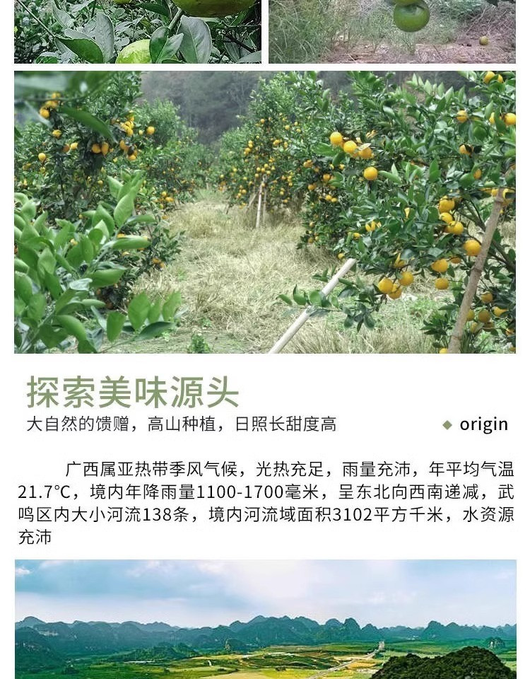 鲜小盼 广西皇帝柑3斤大果新鲜当季水果整箱蜜桔橘子贡柑非砂糖桔子沃柑