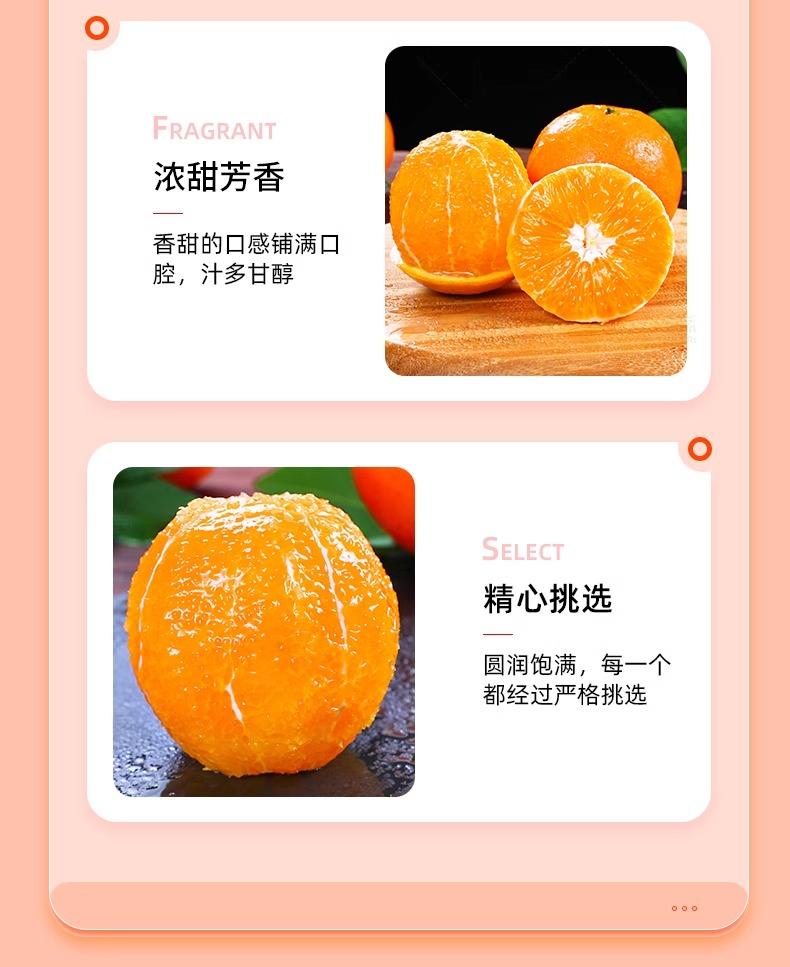 鲜小盼 正宗赣南脐橙10斤当季新鲜水果果冻橙手剥橙冰糖橙现摘现发
