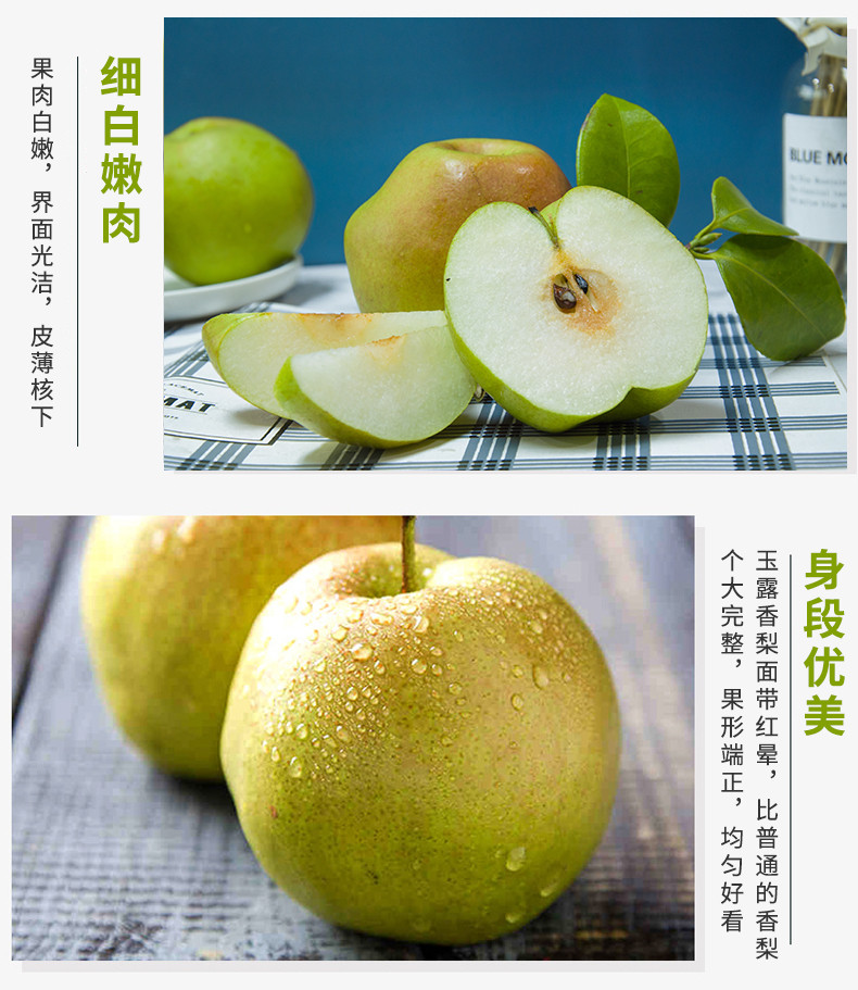 鲜小盼 正宗玉露香梨【3斤】新鲜应季水果梨薄皮酥梨脆甜无渣