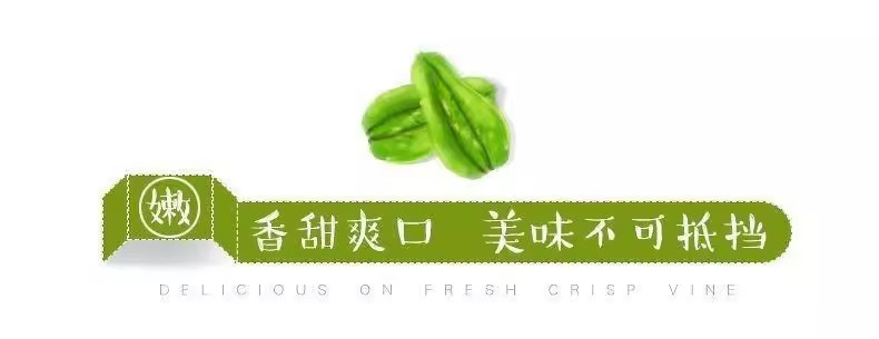 鲜小盼 新鲜佛手瓜3斤现摘窝瓜洋瓜丰收蔬菜佛手瓜新鲜当季寿瓜丝瓜农家