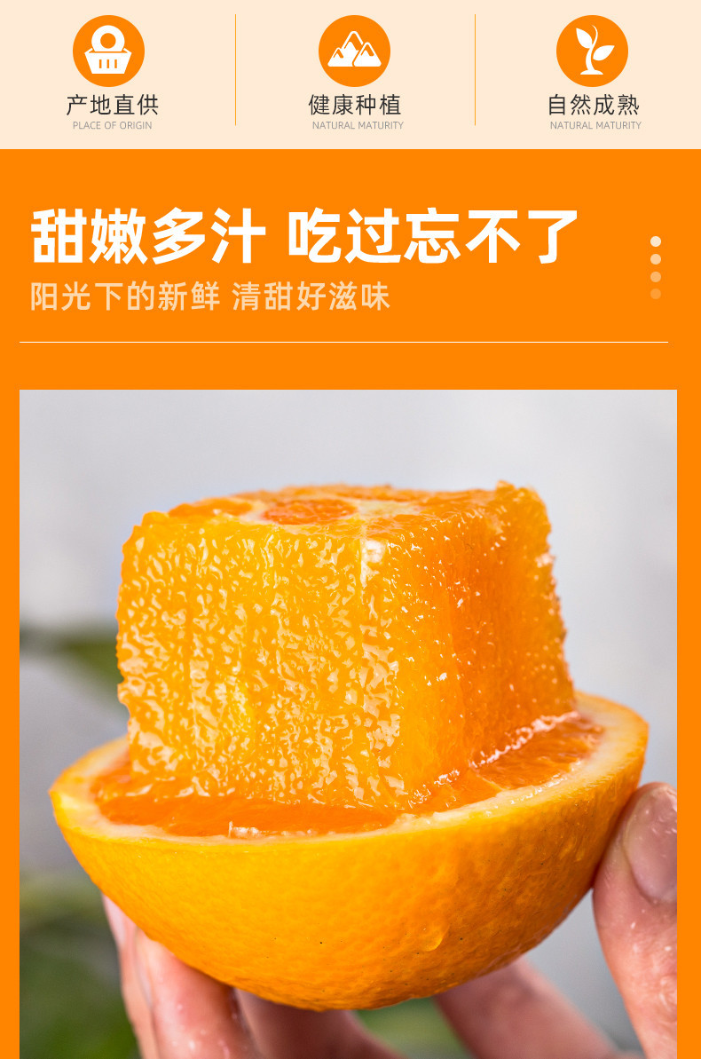 晗梅 巴东三峡甜橙产地直发橙子10斤/箱包邮