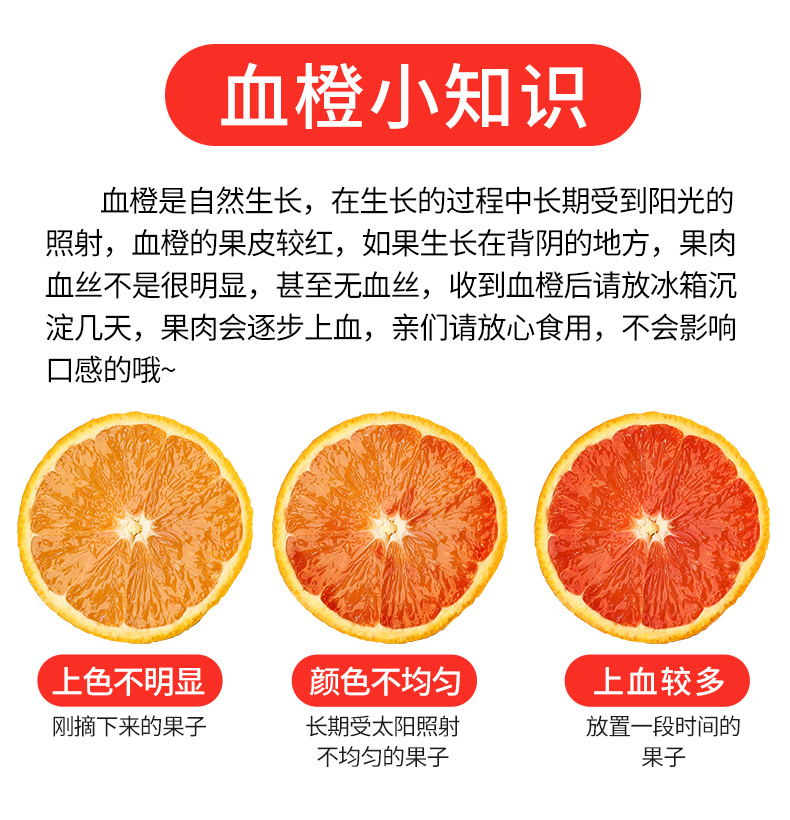 晗梅 中华红橙10斤/箱