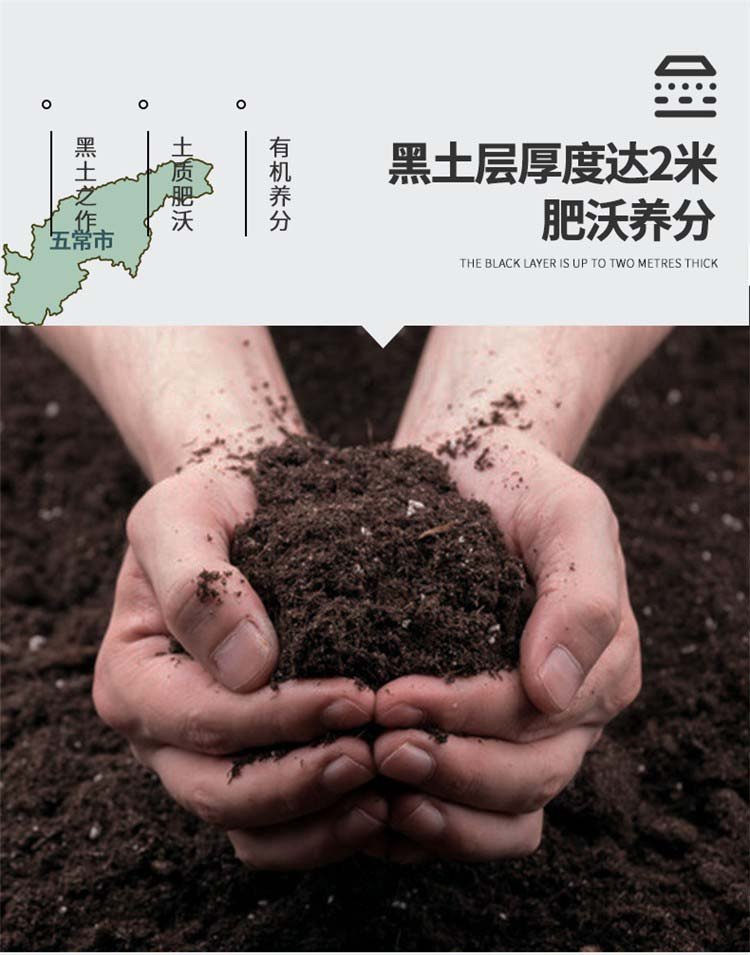 乔府大院 【可溯源】正宗五常大米 优质产区稻花香2号 清香型5kg