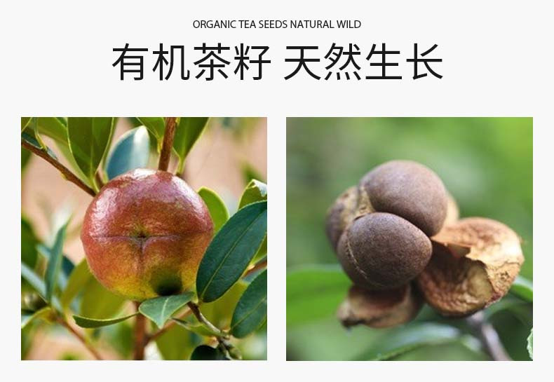 得尔乐 山茶油有机头道初榨油茶籽油100ml物理压榨食用油