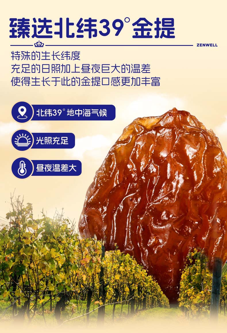 臻味/DELICIOUS 零食果干休闲食品饱满大颗粒袋装即食营养果脯