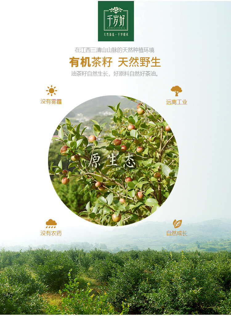 千岁好 有机山茶油2L纯正油茶籽食用油 物理压榨一级0添加