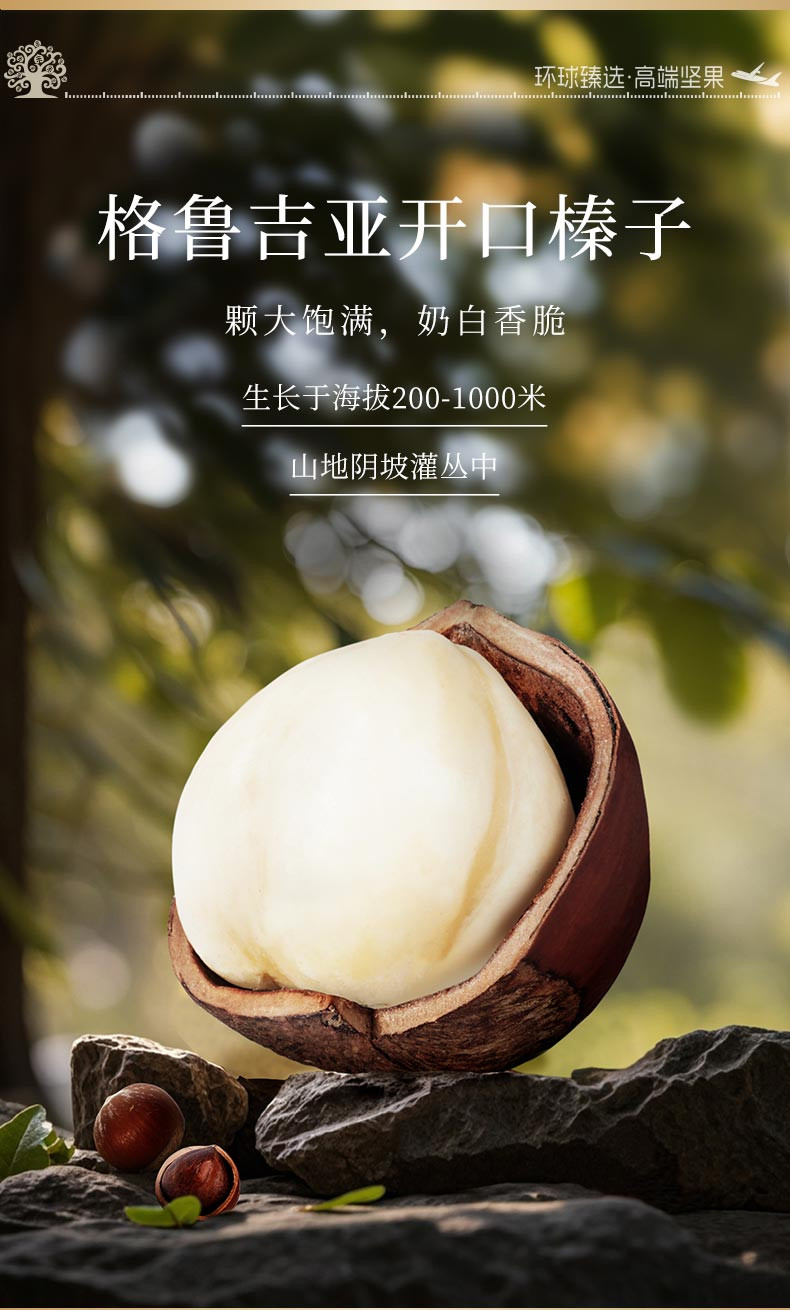 臻味/DELICIOUS 高端坚果礼盒环球臻品2.098kg 每日坚果炒货干果休闲零食