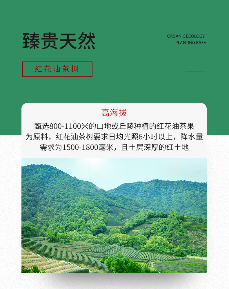 得尔乐 高山红花山茶油礼盒750mlX2瓶低温压榨食用油