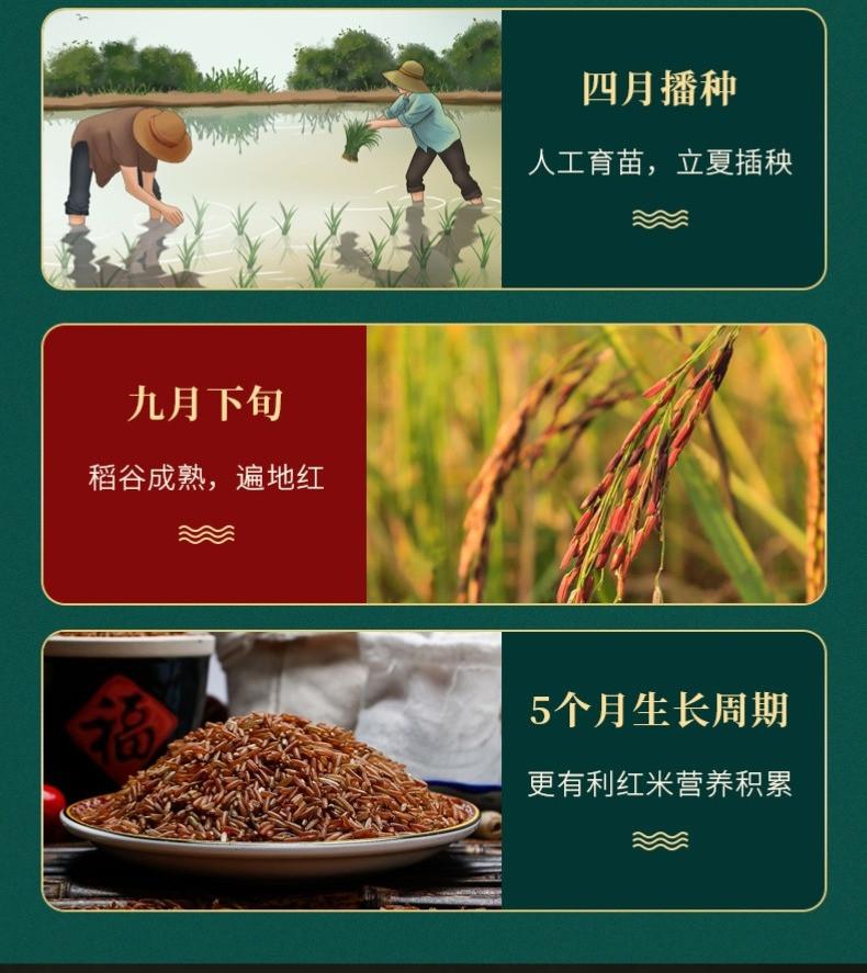 谷麦郎 红米500g*2五谷杂粮粗粮粥