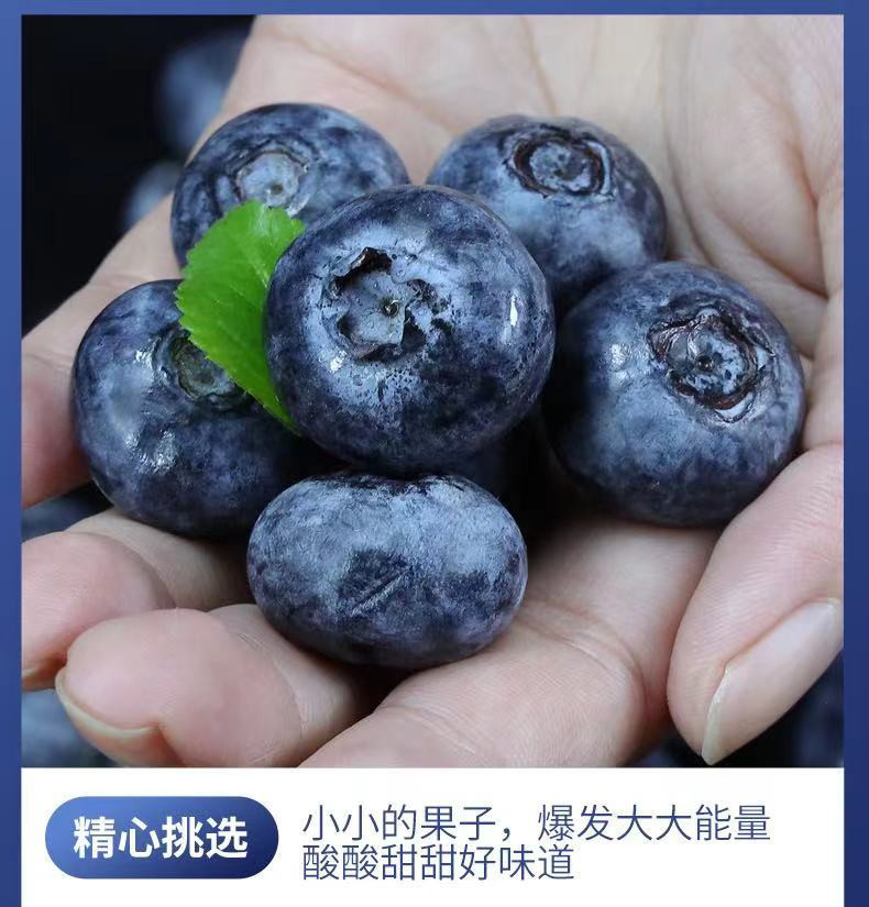 农家自产 云南蓝莓 L25 15+ [4盒500g]