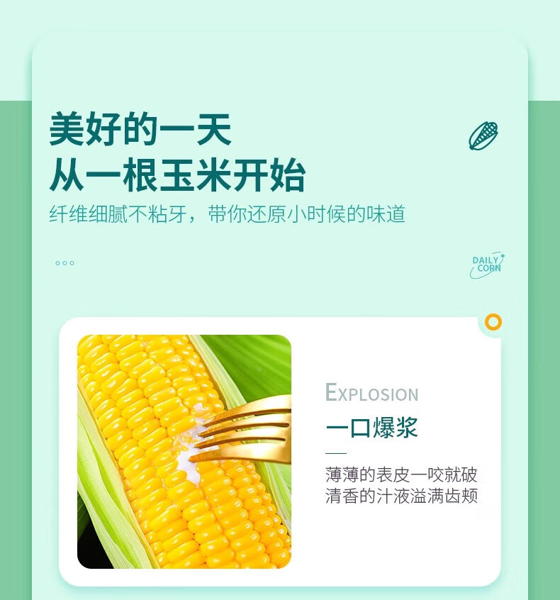 农家自产 云南水果玉米 新鲜甜玉米 可生吃 5斤