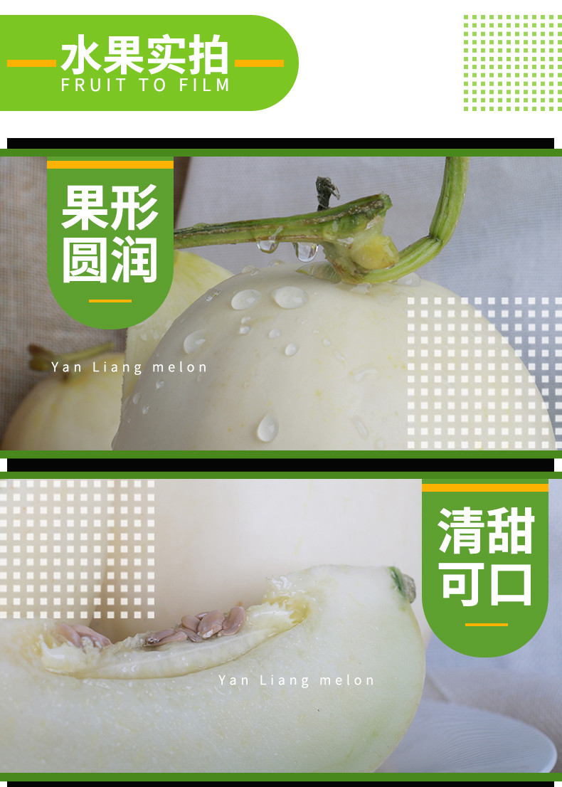 农家自产 陕西阎良头茬甜瓜应季新鲜香瓜4.5-5斤