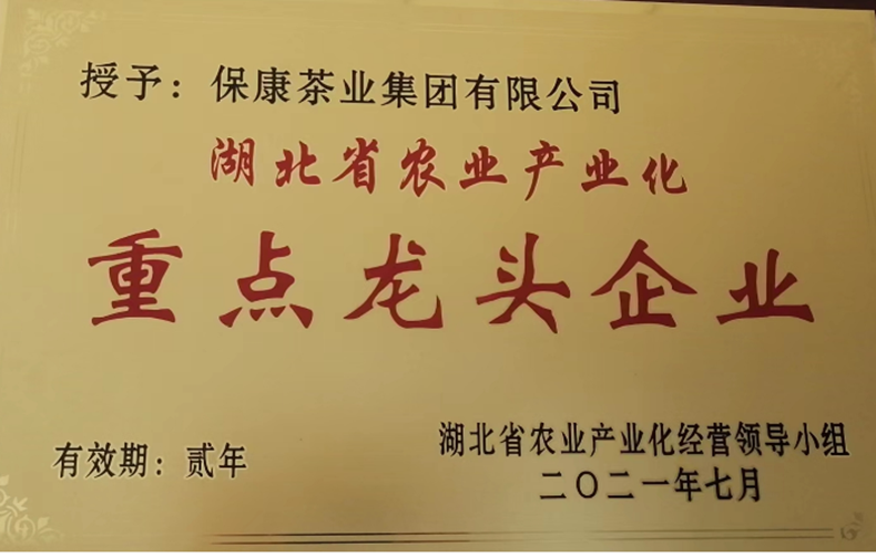 保茶集团  保康县 红茶.精选红茶 (10204)