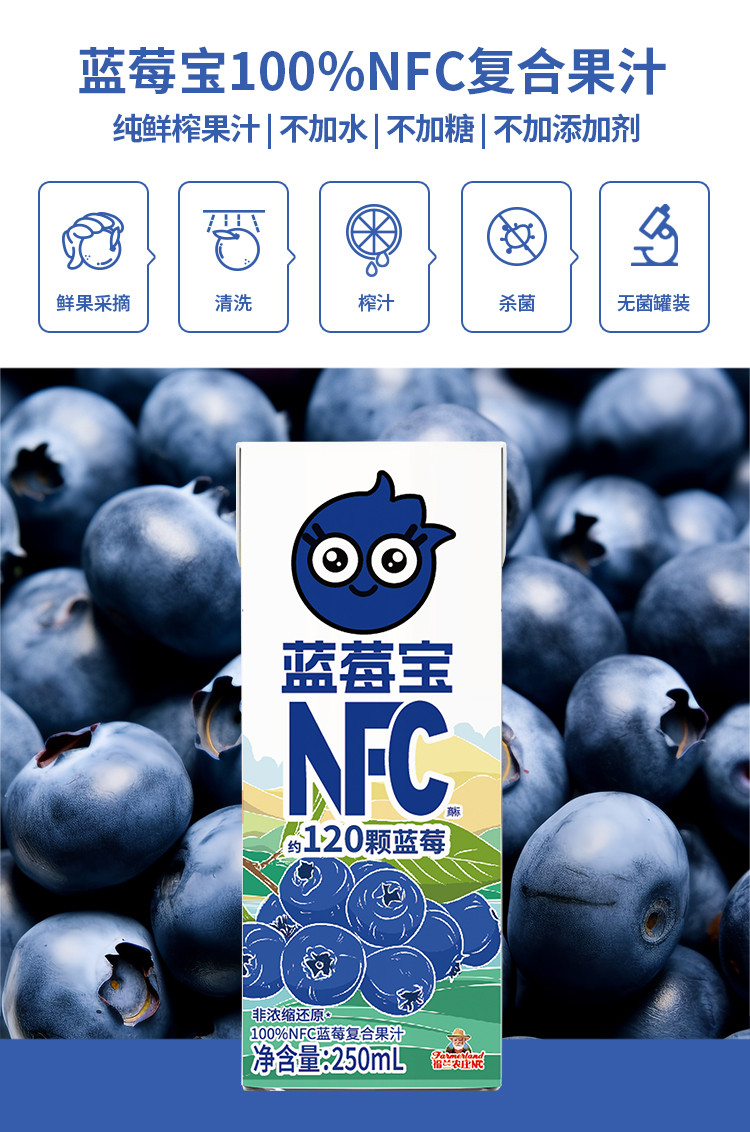 福兰农庄 NFC100%蓝莓汁 10盒