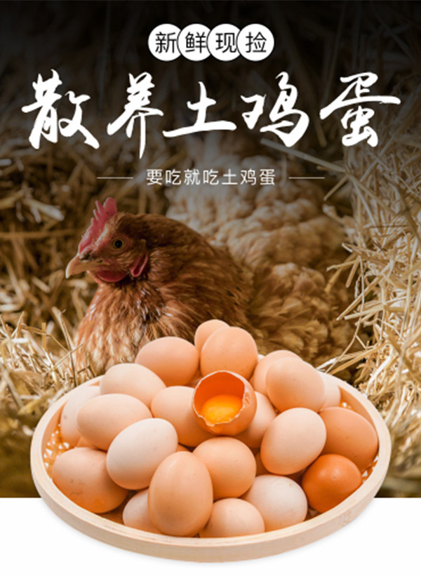 邓村 农家山林散养黄壳土鸡蛋40枚农家新鲜正宗
