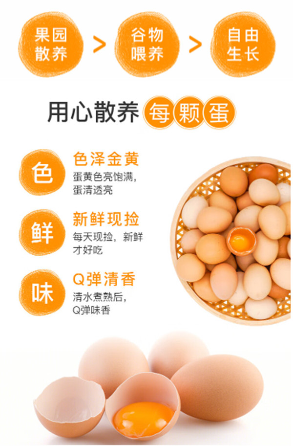 邓村 农家山林散养黄壳土鸡蛋40枚农家新鲜正宗