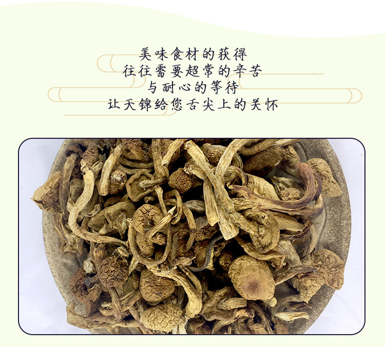 天锦 有机滑子蘑100g 东北特产干货