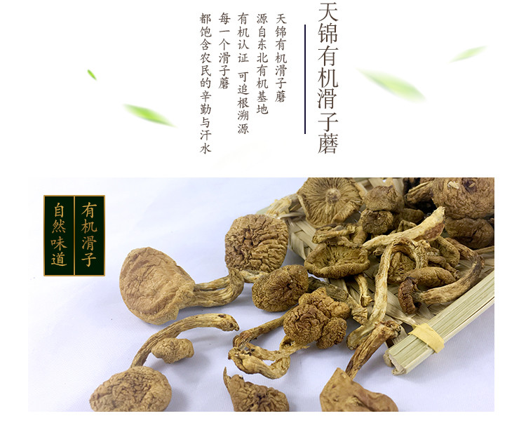 天锦 有机滑子蘑100g 东北特产干货