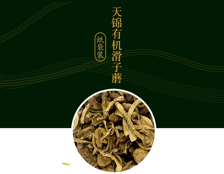 天锦 有机滑子蘑100g 东北特产干货