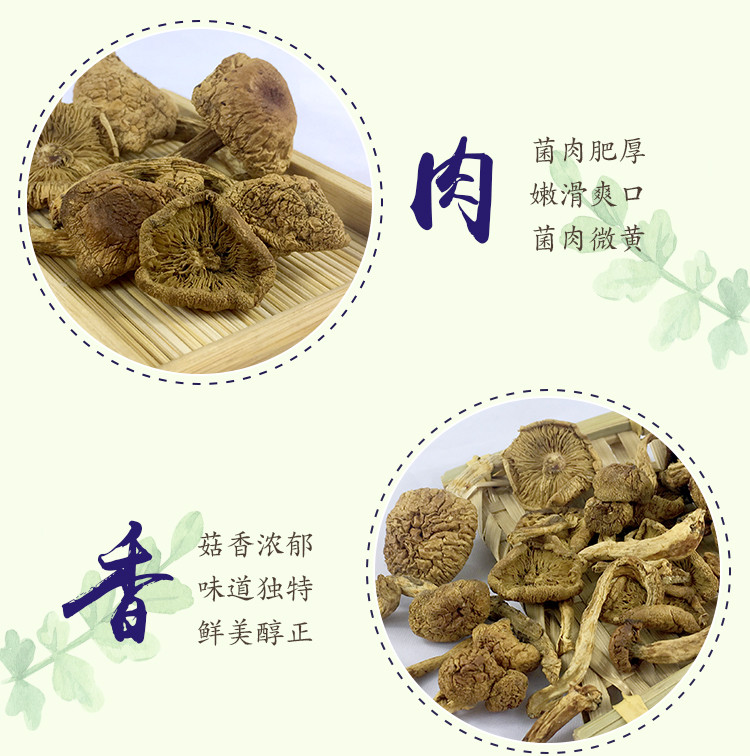 天锦 有机滑子蘑100g 东北特产干货